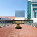 아르피아 이미지