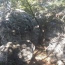 온새미로서산 | .내포지역의 역사,문화,생태를 아우르는 내포문화숲길 (신성대학교 이은하)