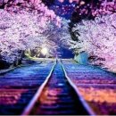 서귀포시청 환경미화원 노동조합 이미지