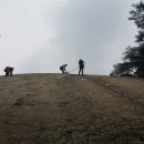 영신숲길2 이미지