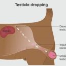 여울동물병원 이미지