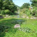 경상남도산림환경연구원 이미지