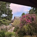 온다, 봄이 꽃차바리스타 | [푸켓] 4인 숙소 추천 :: 타본 비치 빌리지 리조트&amp;스파 푸켓(투베드룸 힐사이드 스위트/수영장/조식)