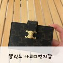 아코디언 | 셀린느 아코디언카드지갑 /트리옹프 캔버스 /내돈내산 후기