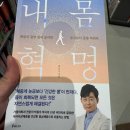 영풍채소 이미지