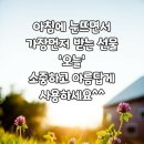 12월.11일.금요일 간추린 뉴스 이미지