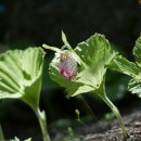비수구미민박 이미지