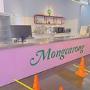 전주애견유치원 몽카롱 이미지