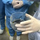 로타리방역 | 전남대학교 반도체 공정실습 후기(1편)
