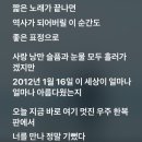 부심컴퍼니 | 해운대바다도 이재모피자도 없고 김애란만 있는 부산여행🫧 ... 그리고 더글로우 최애3배이벤트