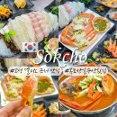 강원 속초 고성 델피노 근처 맛집 수율 좋은 대게 장사항 봉포한일수산횟집