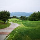 도그센추리 이미지