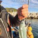 바다풍경펜션 이미지