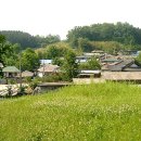 도덕1리 이미지