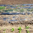 웅촌농장 이미지