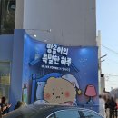특별한하루 | 올리브영 X 망그러진 곰 망곰이의 특별한 하루 팝업 후기
