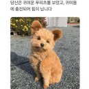 엄마가 갱년기나 우울증 불안증이셨는데 많이 좋아지신 분 있어?ㅠㅠ어떻게좋아지셨어?😭 이미지