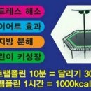 용운점핑다이어트