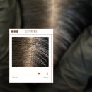 채오름SMP 네이버블로그