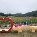 산소카폐 청송정원 (2) 이미지