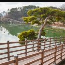 예산-56 이미지