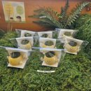 구석에 감자짬뽕 | 강릉 여행 필수 코스: 교동짬뽕 먹고 들르는 귀여운 소품 천국 '이발소 편집샵'