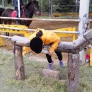 부안아리울승마장 이미지