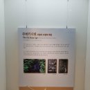 의림기술개발 | 제천 의림지 역사박물관 - 시간의 함 / 역사의 함