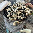 핀다장어 직판장 :: 양평 단월 장어 포장 내돈내산 후기