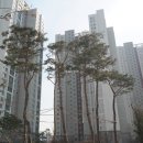 더샵리버포레공인중개사사무소 이미지