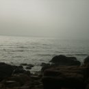 불광역3번출구 (서울병원) 이미지