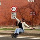 볕우물어린이공원 | 서울 가볼 만한 곳 | 용산공원 미군 기지 반환부지 산책 후기(포토존, 구경할 만한 곳, 카페, 주차정보...