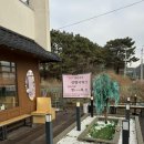 [영종도]을왕리 마시안근처 담백한 생선구이 맛집 용유어보 내돈내산 애견동반후기