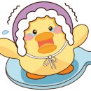 개인공간 애견펜션 이미지