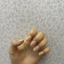 21네일 이미지
