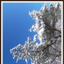 거산목장 이미지