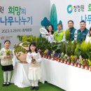 희망의 나무 이미지