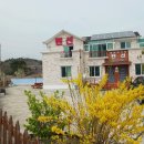 궁촌레일바이크펜션 이미지