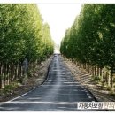 박재석한의원 이미지