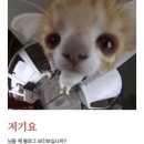 터진다PC | [BIFAN] 제 29회 부천국제판타스틱영화제 BIFAN HEROES : 개막식부터 5일차까지 -