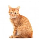 박종현동물병원 이미지