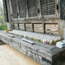 꽃차와 산야초 이미지