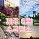 제주사랑펜션민박 이미지