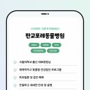 포레동물병원 이미지