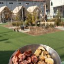 (주)해밀리아