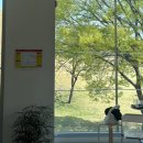 신평동1095 | 경주 벚꽃 여행 (대릉원 돌담길, 황룡원, 데네브, 최영화빵, 맷돌순두부, 보문단지 벚꽃 만개) | 경주...