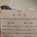 한태정 이미지