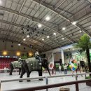 창녕 트롯 가을콘서트 | 제주 점보빌리지 공연시간 입장료｜2025년 리뉴얼 총정리