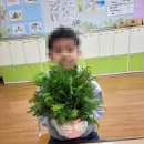 안내초등학교 | 초등학교 방과후 수업 후기｜크리스마스 트리 리스 만들기 수업 발산꽃집