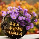 우크리나 폭격에서 일어난 놀라운 일 이미지